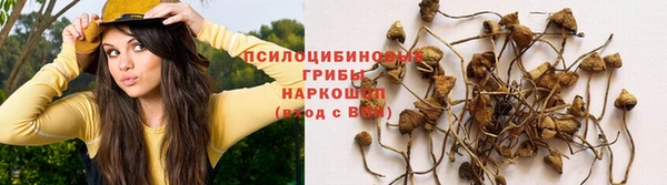 ешки Лабытнанги