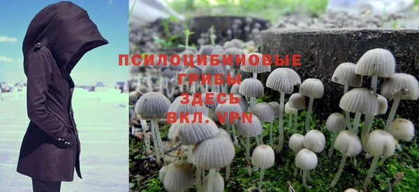 ешки Лабытнанги