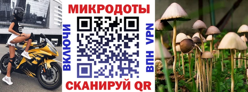 Псилоцибиновые грибы GOLDEN TEACHER  цена наркотик  Брюховецкая 